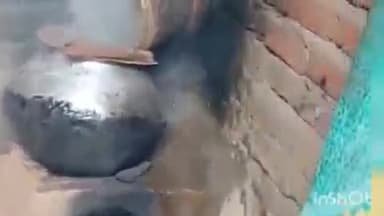 अरवल: अरवल में ALTf टीम की छापेमारी, 1100 लीटर जावा महुआ नष्ट, एक गिरफ्तार