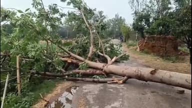 हसनपुर: हसनपुर के गांव शाहपुर कला के पास तेज आंधी से गिरा पेड़, बाइक चालक ने कूदकर बचाई जान