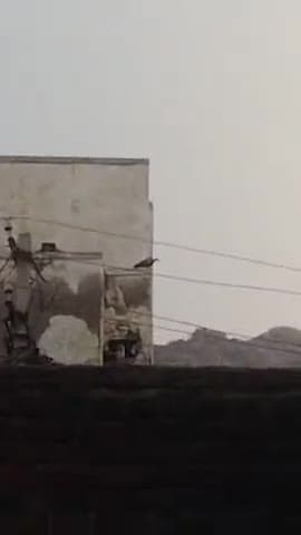 यह कौन सी पक्षी है आज चौहटन में आ चुकी हैं इसका कोई आता पता नहीं है हमारे को लगा रहा है कोई रिमोट कंट्रोल से हो रहा है