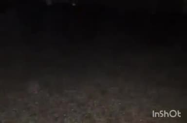 बाली: फालना और आस-पास के क्षेत्रों में मूसलाधार बारिश से जनजीवन प्रभावित, सड़कों पर जलभराव, स्कूलों में छुट्टी