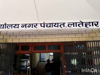 लातेहार: लातेहार नगर पंचायत क्षेत्र में आवारा कुत्तों का आतंक, शुक्रवार दोपहर 1 बजे तक 14 कुत्ते काटने के मामले आए