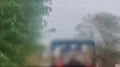 मंदसौर: सिंदपन रोड हाईवे पर मृत गोवंश को ट्रैक्टर से खींचते हुए वीडियो वायरल, कार्रवाई की मांग