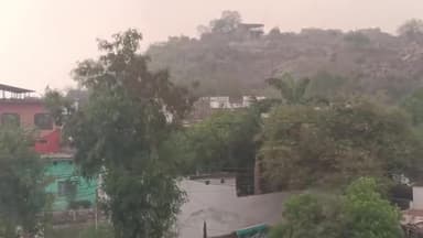 बडोनी: दतिया में तेज आंधी और बारिश से पेड़ टूटे, बिजली गुल