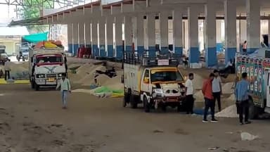 मंदसौर: लालघाटी कृषि उपज मंडी 3 दिन के अवकाश के बाद खुली, किसानों की उपज गीली ना हो, इसके लिए की गई व्यवस्था