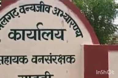 देसूरी: सादड़ी में कुंभलगढ़ वन्यजीव अभयारण्य में रात को घुसा निजी वाहन, उदयपुर से आए लोगों से वसूला ₹51 हजार का जुर्माना