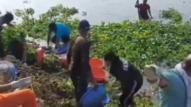 मंदसौर: मंदसौर में पशुपतिनाथ की शिवना शुद्धिकरण कार्य 12वें दिन भी जारी, विधायक व बड़ी संख्या में लोग मौजूद