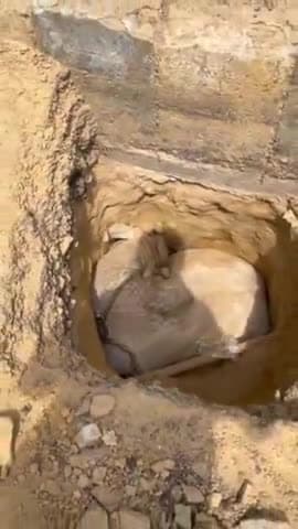 कानपुर: सेल्स टैक्स रोड पर आइसीआइसीआइ बैंक के सामने केस्को द्वारा खोदे गए गहरे गड्ढे में गाय गिरी, तड़प-तड़प कर हुई मौत