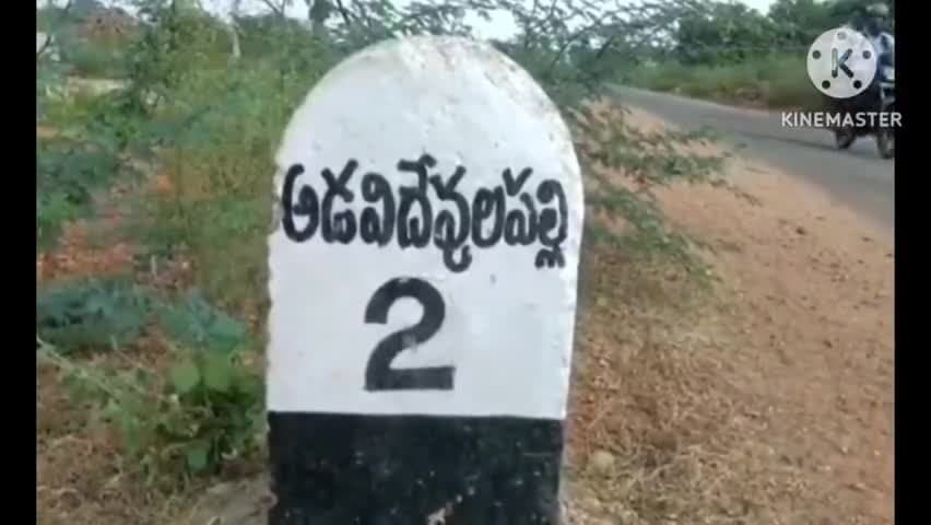 అడవిదేవులపల్లి: అడవిదేవులపల్లి మండలం మొలకచర్ల లోని అర్థరాత్రి దున్నపోతు బలిచి క్షుద్ర పూజలు