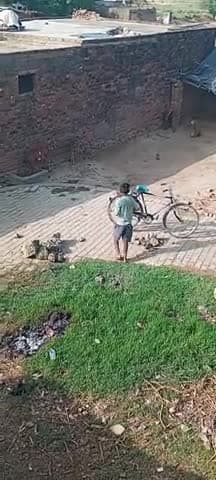 aseni. pathanpurwa ":ganw me hua aiksident 1uvak hua gha
#viral #trending #aseni #asifkhan #shortvideo #viralvideos asif