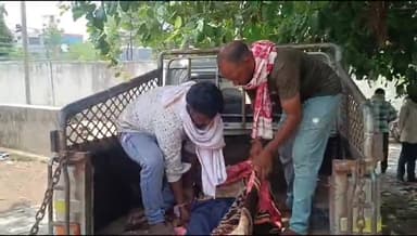 बांसवाड़ा: भापोर गांव में सोतेले भाई ने भाई और भतीजे को कार से टक्कर मारी, भाई की उपचार के दौरान हुई मौत