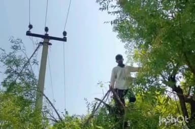बाली: फालना में बिजली लाइनों को छूते पेड़ों की कटाई शुरू, विजय नगर क्षेत्र में सुबह से बिजली बंद, विभाग ने चलाया विशेष अभियान
