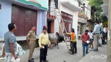 जलालाबाद: नगर जलालाबाद में बिजली विभाग के अधिकारियों ने चलाया विद्युत चेकिंग अभियान, 15 विद्युत उपयोगिताओं पर चोरी की रिपोर्ट दर्ज