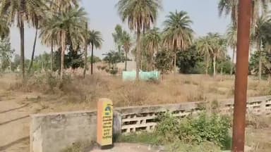 धनौरा: गजरौला के गांव सिहाली गोसाई में कब्रिस्तान, चामुंडा देवी का मंदिर और मजार पर कभी नहीं हुआ विवाद