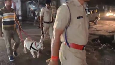 बेतिया: बेतिया बस स्टैंड पर शराबबंदी कानून के मद्देनजर डॉग स्क्वायड की मदद से सघन जांच अभियान चलाया गया