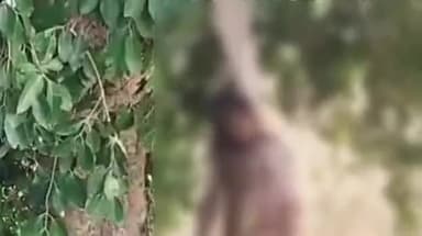 शिवपुरी नगर: ककरवाया में लापता 17 वर्षीय किशोरी का शव पेड़ से लटका मिला, परिजनों ने दुष्कर्म और हत्या का आरोप लगाया