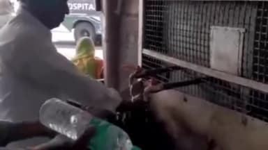 अजमेर: भीषण गर्मी को देखते हुए रोडवेज प्रशासन ने यात्रियों के लिए ठंडा पानी की व्यवस्था की