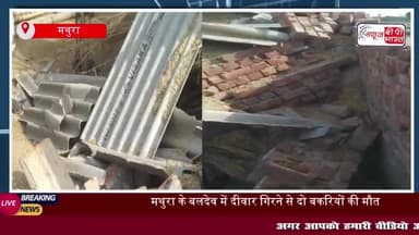 मथुरा में आंधी-तूफान का कहर: कच्ची दीवार गिरने से दो जानवरों की मौत, छह घायल
#मथुरा #आंधी #तूफान #कच्ची #दीवार