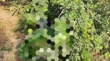 उरई: जगदेवपुर गांव के पास झाड़ियों में संदिग्ध परिस्थितियों में मिला एक व्यक्ति का शव, पुलिस जांच में जुटी