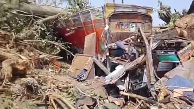 धर्मशाला: सोमवार सुबह आए तूफान के कारण नगरोटा बगवां में एक ट्रक पर गिरा पेड़, चालक समेत अन्य व्यक्ति की हुई मौत