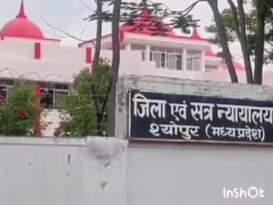 श्योपुर: नाबालिग का अपहरण करने वाले आरोपी को कोर्ट ने सुनाई 3 साल की जेल, ₹5 हजार का जुर्माना