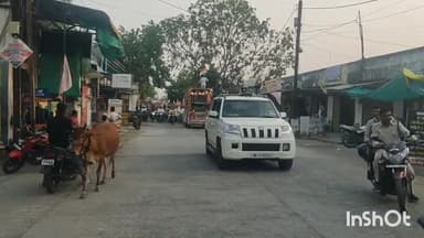 तराना: ऑपरेशन सिंदूर की सफलता पर तराना में निकली तिरंगा यात्रा, उज्जैन सांसद भी हुए शामिल