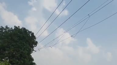 रामपुर: बमनपुरी गाँव के पास 11000 की विद्युत लाइन की सपोर्टेड लाइन खराब होने की वजह से स्थानीय लोग परेशान #jansamasya