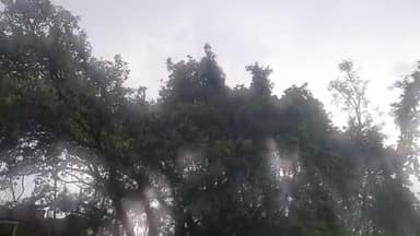 बलरामपुर: जनपद में तेज हवाओं के साथ रुक-रुक कर हो रही बारिश, तापमान में आई थोड़ी गिरावट