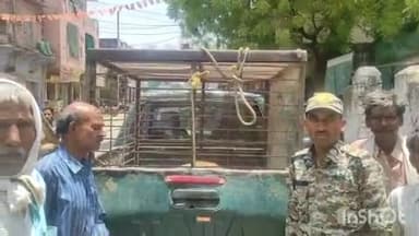 श्योपुर: उत्पादी बंदर बना आतंक का पर्याय, वन विभाग ने 6 दिन में पकड़कर जंगल में छोड़ा