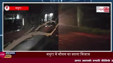 मथुरा में मौसम का बदला मिजाज, तेज आंधी और बारिश से  बिजली खंभे और पेड़ गिरे; जनजीवन अस्त-व्यस्त