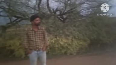 जीरन: जीरन में तेज आंधी-तूफान के साथ बारिश, हरकीयाखाल रोड पर पेड़ गिरने से बाधित हुआ आवागमन