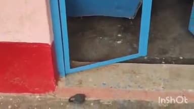 अरवल: सकरी इब्राहिमपुर के उच्च माध्यमिक विद्यालय में हुई चोरी, चोर स्मार्ट टीवी व इनवर्टर ले उड़े