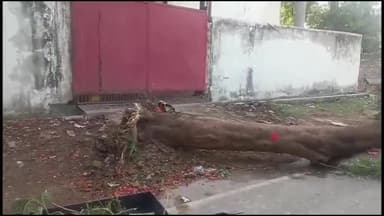 इटावा: सिविल लाइन इलाके में देर रात आई आंधी से गिरा बड़ा पेड़ और बिजली का पोल, टला बड़ा हादसा