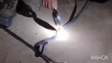 धरमपुरी: धानी में सरपंच के घर पहुंची घायल कोबरा नागिन, सर्प मित्र ने इलाज कर जंगल में छोड़ा