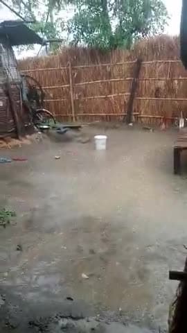 baris ho rha ha sughraun gav me