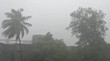 कोल्हापूरच्या करूळ घाटात दरड कोसळली. कोकणाकडे जाणारी वाहतूक विस्कळीत