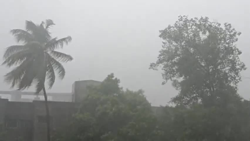 गगनबावडा: कोल्हापूरच्या करूळ घाटात दरड कोसळली. कोकणाकडे जाणारी वाहतूक विस्कळीत