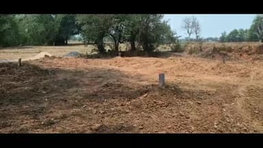 बिश्रामपुर: बरसैता टोला से पार हो रहा हाई वोल्ट बिजली का तार, दुर्घटना की आशंका से ग्रामीणों ने उपायुक्त से लगाई गुहार #jansamasya