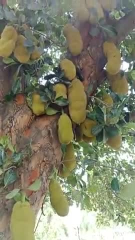 कीटनापुरमें बारिया#बीसलपुर राव तुम ऐसी खबर मिलती रहेंगे लाइक करना फॉलो बंद करना ना भूले 

बीसलपुर