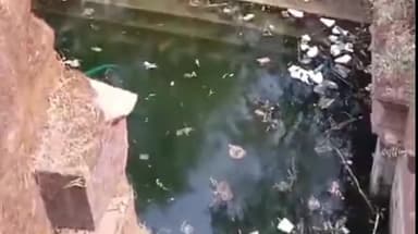 हुज़ूर: मध्य प्रदेश जन अभियान परिषद विकासखंड फंदा ने "खुशवंत राव की बाबड़ी" नवीन नगर में साफ सफाई