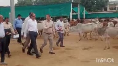 रॉबर्ट्सगंज: विशेष सचिव ने गोवंश आश्रय स्थल का किया निरीक्षण, दिए आवश्यक निर्देश