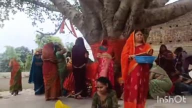 बरहट: मलयपुर शिवालय परिसर में वट सावित्री पूजा के दौरान मधुमक्खियों के हमले से आधा दर्जन से अधिक महिलाएं और पुरुष हुए जख्मी