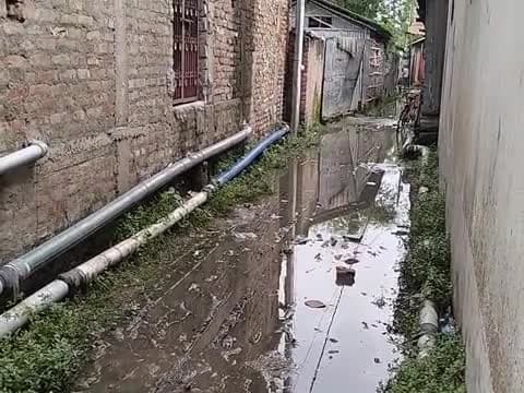 Purnea City Naka Chowk Ward No 34 Purandevi #nagarnigampurnia @purnianews #newspurnia