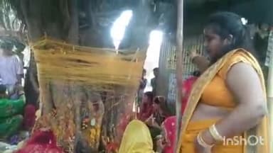 औरैया: शहर में विभिन्न स्थानों पर सुहागन महिलाओं ने पति की लंबी आयु के लिए बट वृक्ष की पूजा-अर्चना की