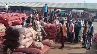 शाजापुर: शाजापुर मंडी में 11338 क्विंटल प्याज की आवक, ₹1200 प्रति क्विंटल बिकी