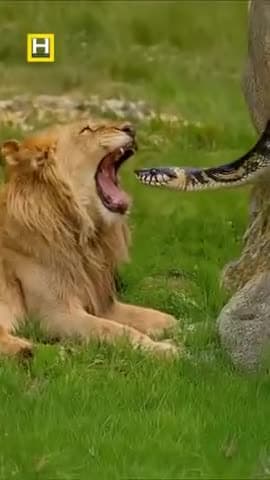 Wait for End __😔🫰
#Viral #video #Comedy #Funny 
#trendingvideo #Follwing #patna #Bihar #Funnymems #Like #Comment