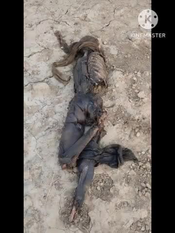 भिवानी: भिवानी के नौरंगाबाद क्षेत्र में मिला कंकाल, इलाके में फैली सनसनी, पुलिस जांच में जुटी