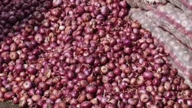 शाजापुर: शाजापुर कृषि उपज मंडी में 9028 क्विंटल प्याज की अवक हुई,₹200 से लेकर ₹1250 प्रति क्विंटल बिकी