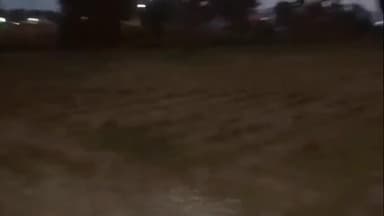 नौगावां सादात: नौगांवा तहसील में आवारा पशुओं से किसान परेशान, पकड़वाने की मांग #jansamasya