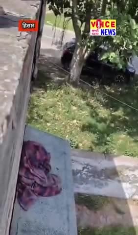 हिसार में चल रही थी रिटायरमेंट पार्टी, तभी मच गई भगदड़, मधुमक्खियों ने कइयों को काटा #viral #hisar madhumakhi