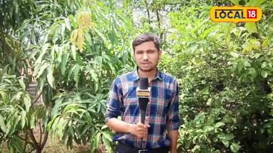 बुज़ुर्गों से सीखी खेती, यूट्यूब से जोड़ा ज्ञान – अमरपाटन का किसान बना पेड़ों का 'सर्जन', देशभर में मचा रहा धमाल